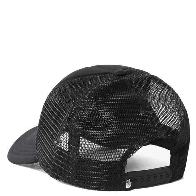 The North Face Skate cap NF0A3FM3KY41 large