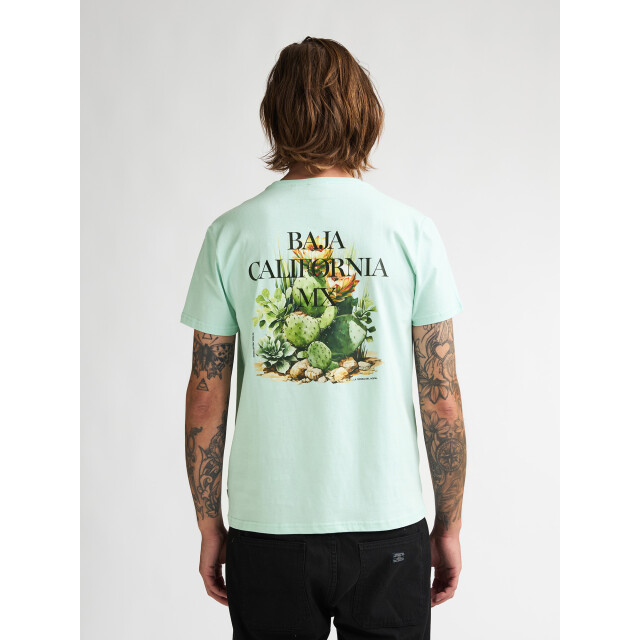 Petrol Industries Men t-shirt ss M-1060-TSR688 large