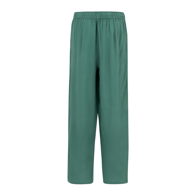 Regatta Dames elbrie effen broek UTRG12893_ivymoss large