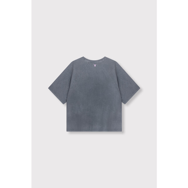 Alix The Label Raglan t-shirt antraciet 4339.85.0012 large