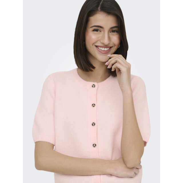 Jacqueline de Yong Jdychloe life 24 cardigan knt licht 4249.61.0009 large