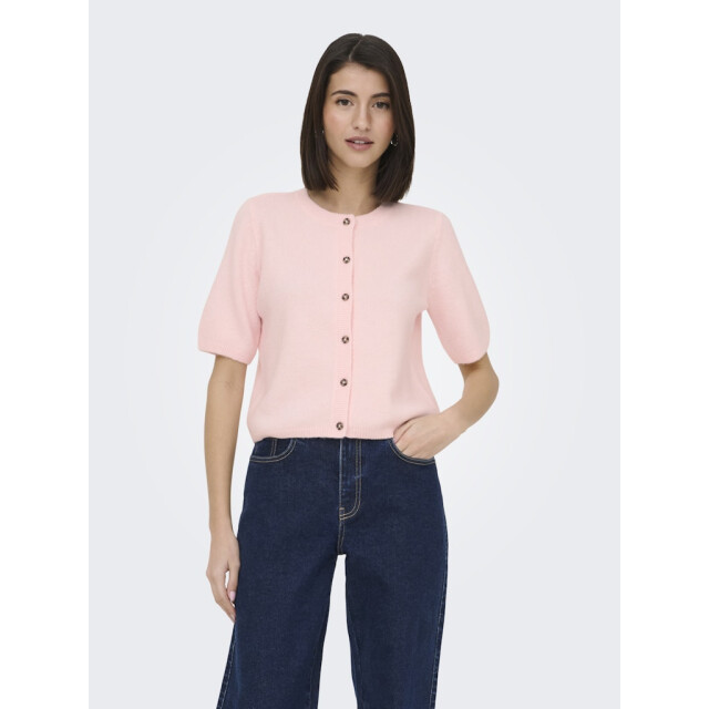 Jacqueline de Yong Jdychloe life 24 cardigan knt licht 4249.61.0009 large