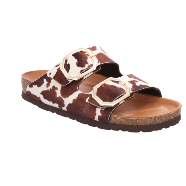 Rohde Alba 5637-72 large