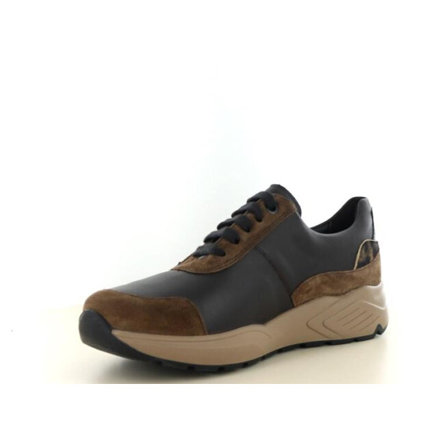 Solidus 66034 kea 66034 Kea large