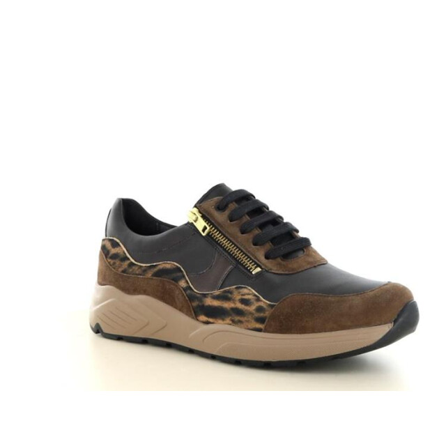 Solidus 66034 kea 66034 Kea large