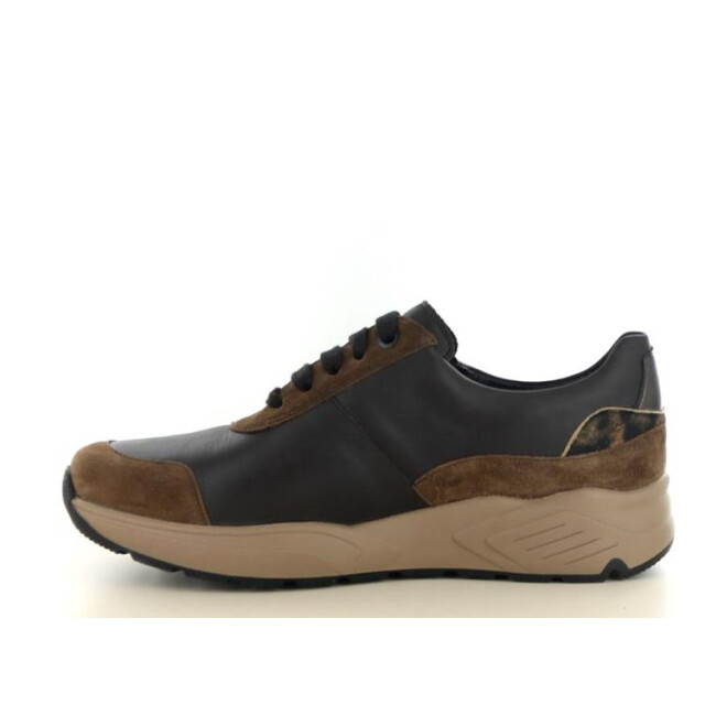 Solidus 66034 kea 66034 Kea large