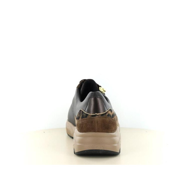 Solidus 66034 kea 66034 Kea large