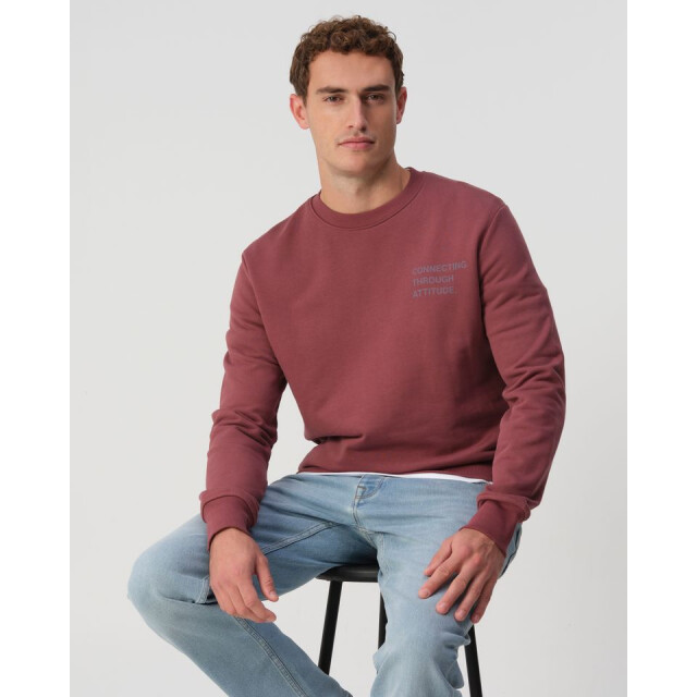 J.C. Rags douglas 103536 6821 wild ginger dark red 05735.640.0003 large