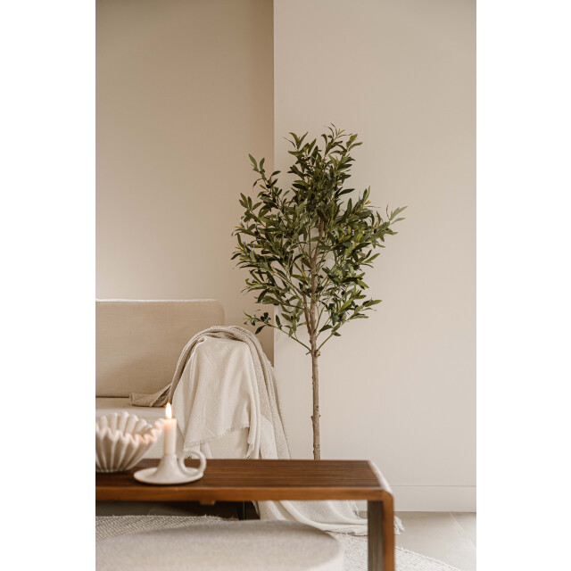 Indore Home Indore silva kunst olijfboom 155cm 3550794 large