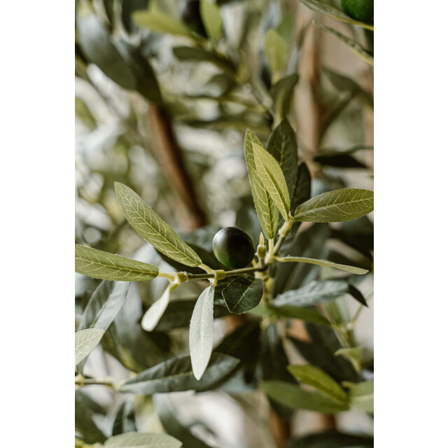 Indore Home kunst olijfboom 180cm 3550795 large