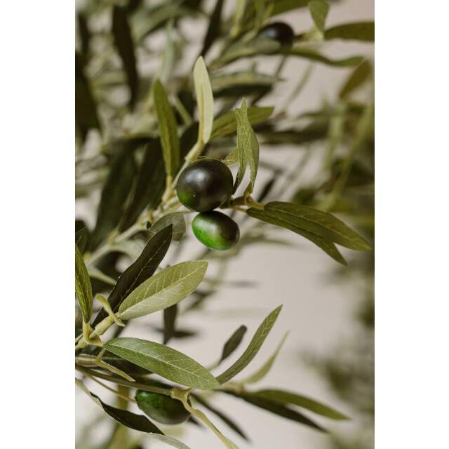 Indore Home kunst olijfboom 180cm 3550795 large