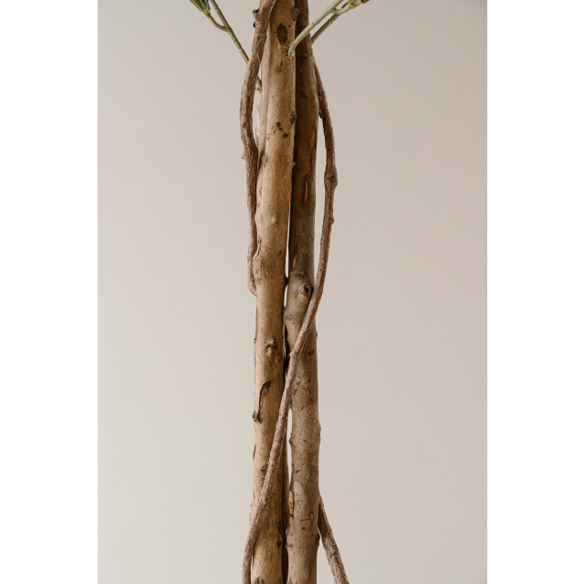 Indore Home kunst olijfboom 180cm 3550795 large