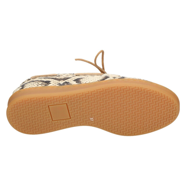 Piedi Nudi 020864 Veterschoenen Bruin 020864 large