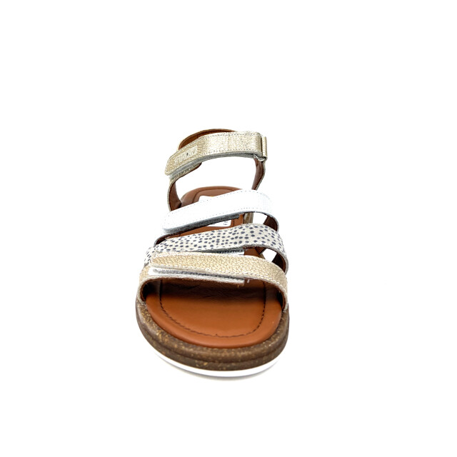 Trackstyle 326135 326135 large
