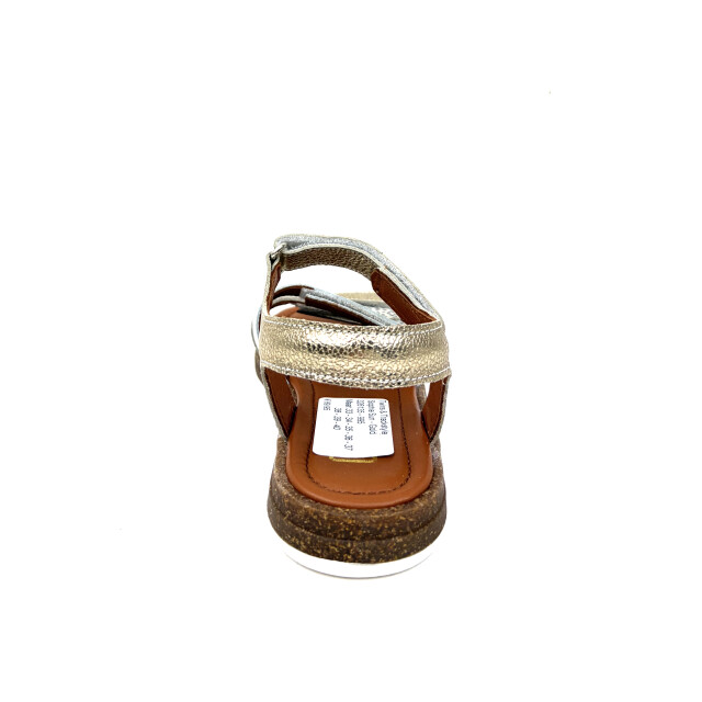 Trackstyle 326135 326135 large
