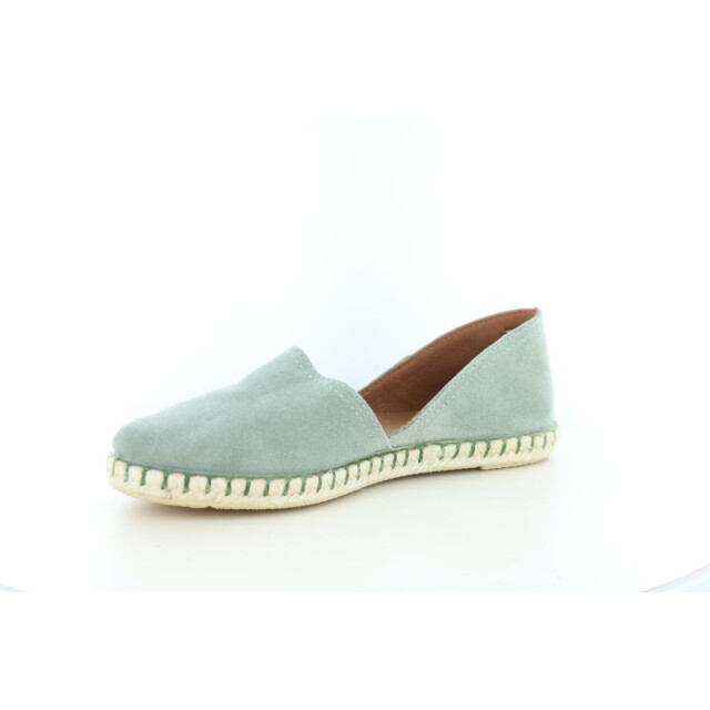 Verbenas Carmen 247.50.088 large