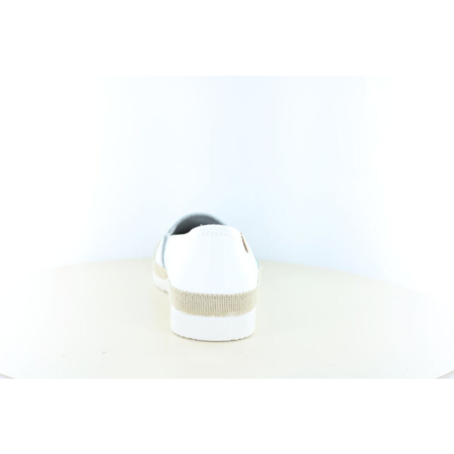 Verbenas Noa 247.10.067 large