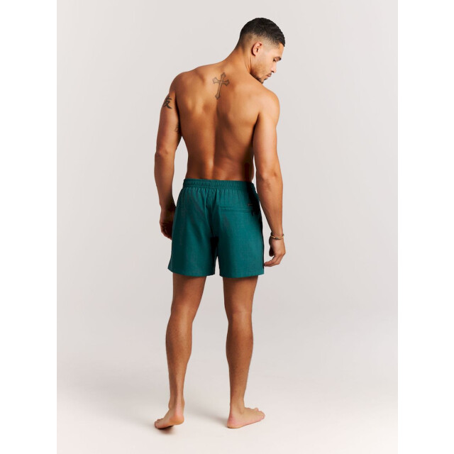Protest davey beachshort zwemshort heren - 074190_300-L large