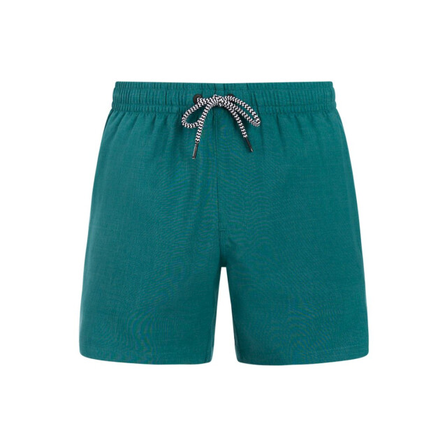 Protest davey beachshort zwemshort heren - 074190_300-L large