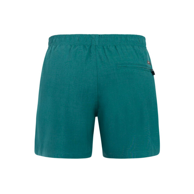 Protest davey beachshort zwemshort heren - 074190_300-L large