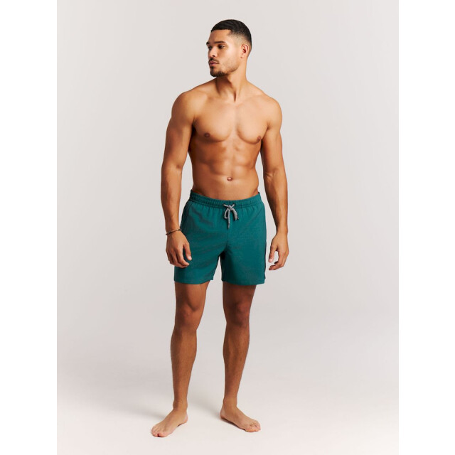 Protest davey beachshort zwemshort heren - 074190_300-L large