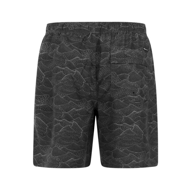 Protest acorn beachshort zwemshort heren - 074193_990-L large