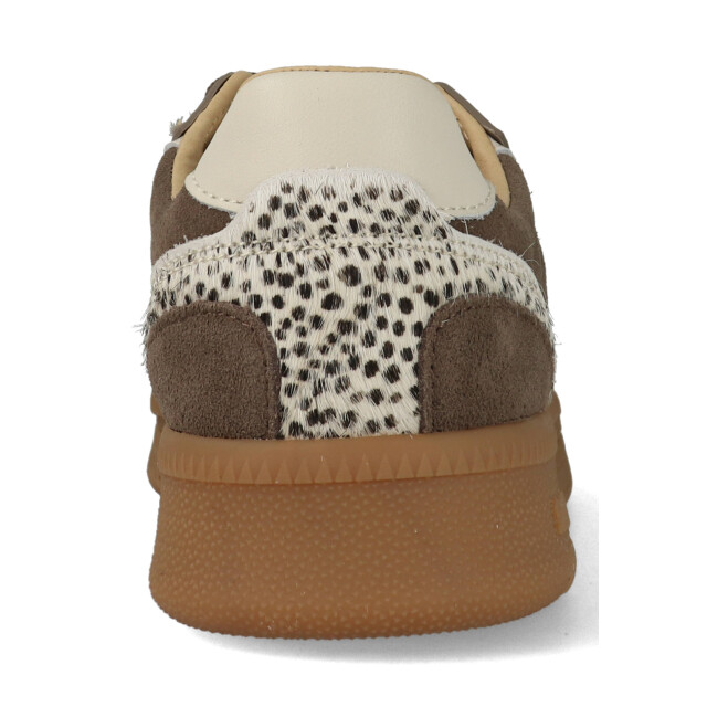 Maruti Yale 66.1844.03-do1 66.1844.03 large