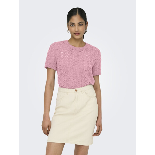 Only Onlsaga ss o-neck knt noos licht 4382.61.0016 large