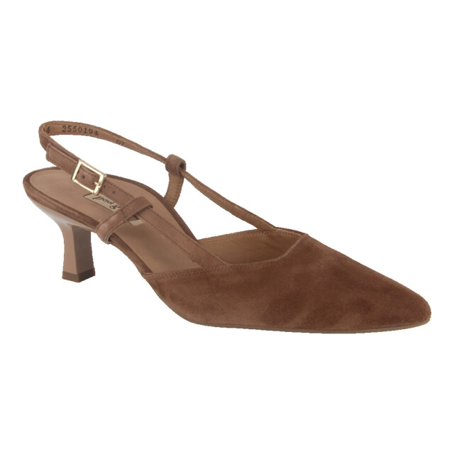 Paul Green Paul Green 7992-129 Pumps Bruin Paul Green 7992-129 large