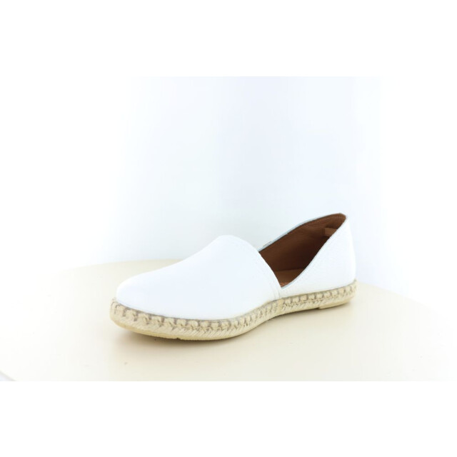 Verbenas Carmen 247.10.076 large