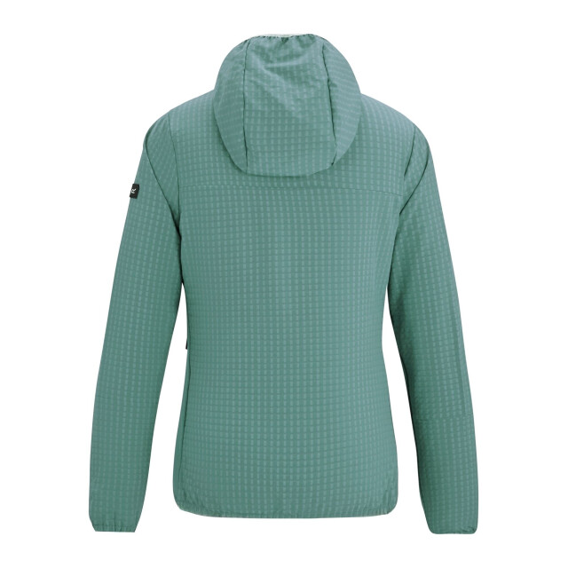 Regatta Dames kemilia fleecejack UTRG12986_ivymoss large