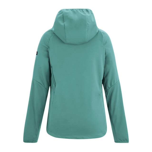 Regatta Dames bourda zachte shell jas UTRG12990_ivymoss large