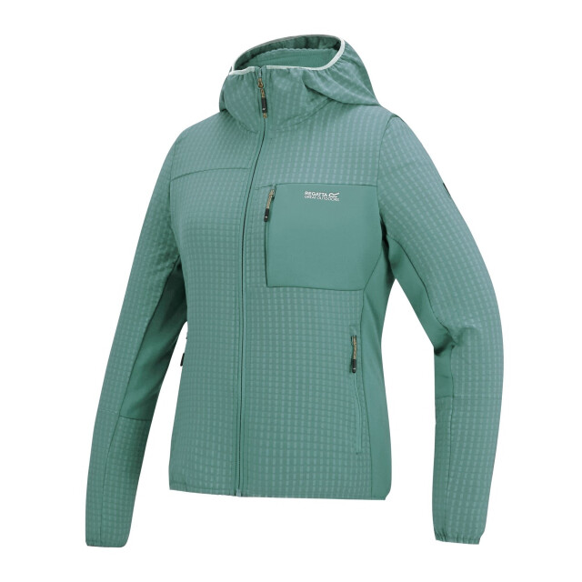 Regatta Dames kemilia fleecejack UTRG12986_ivymoss large