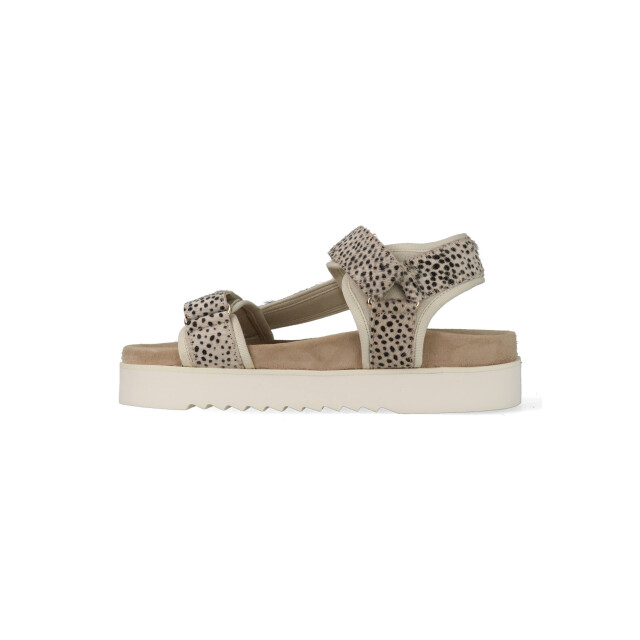 Maruti Beau 66.1653.04-zj2 zilver 66.1653.04 large