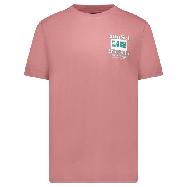 Cars 6237162 RITZO TS Backprint Berry large