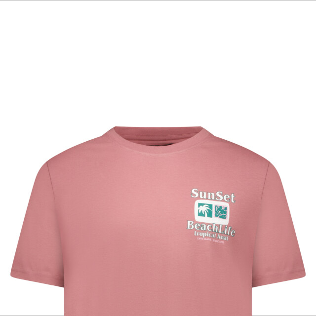 Cars 6237162 RITZO TS Backprint Berry large