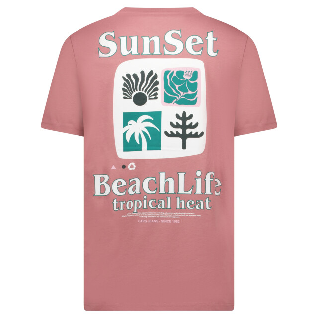 Cars 6237162 RITZO TS Backprint Berry large