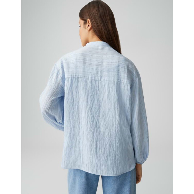 Opus Flaria 10550414083423 dessin 4309.39.0043 large