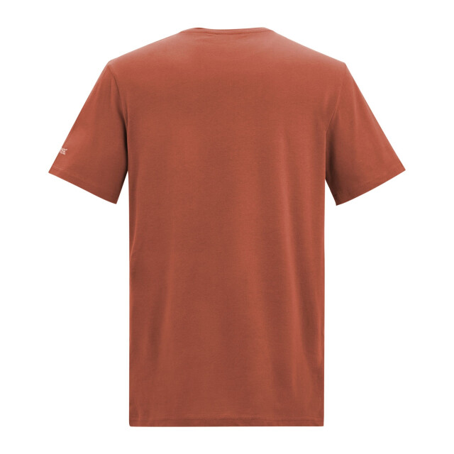 Regatta Heren tait lichtgewicht actief t-shirt UTRG4902_brick large
