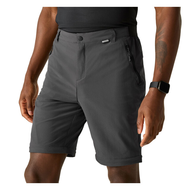 Regatta Heren lichtgewicht insectenwerende cargo broek UTRG12937_ash large