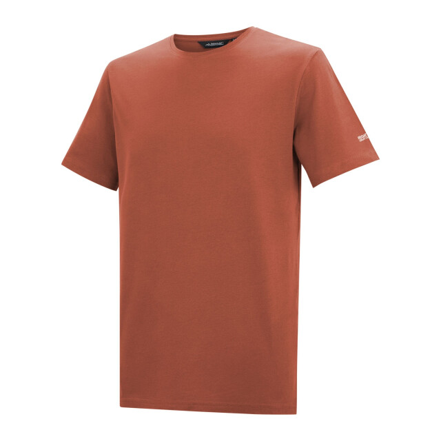 Regatta Heren tait lichtgewicht actief t-shirt UTRG4902_brick large