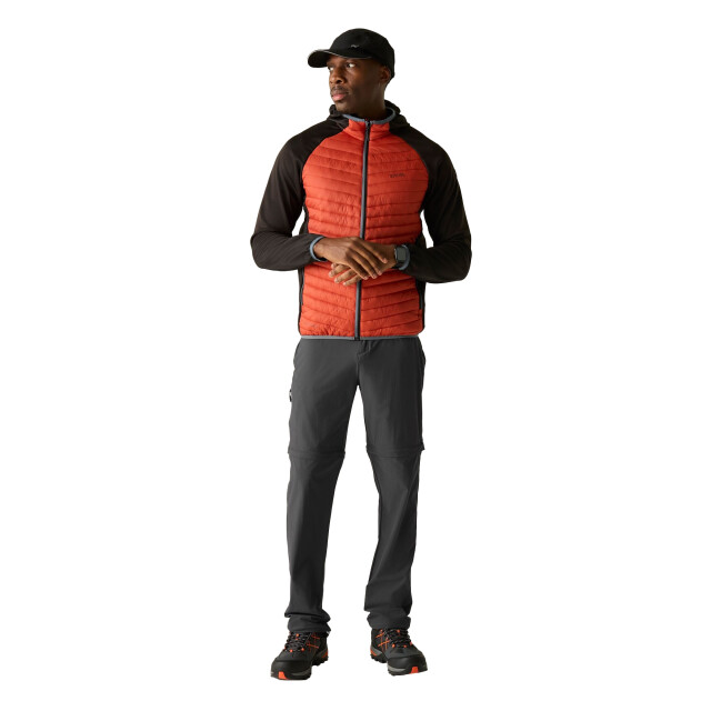 Regatta Heren lichtgewicht insectenwerende cargo broek UTRG12937_ash large