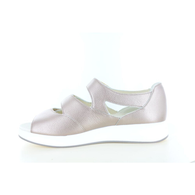 Solidus 75036 wijdte h 290.97.024 large