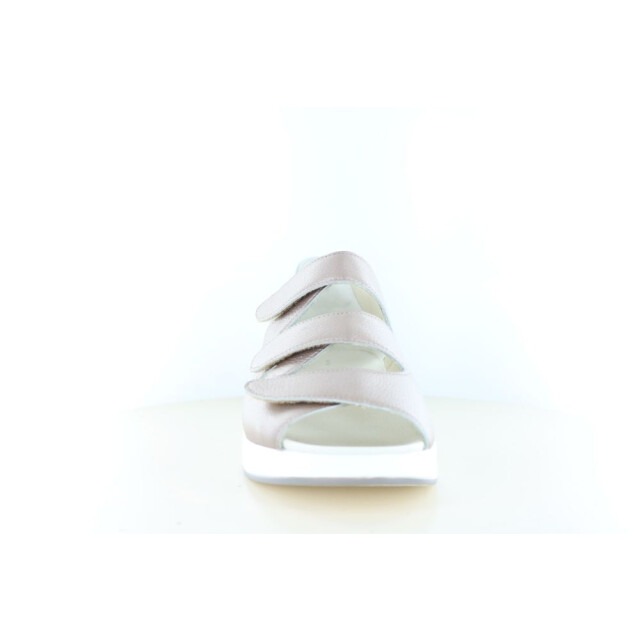 Solidus 75036 wijdte h 290.97.024 large