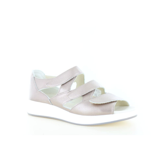 Solidus 75036 wijdte h 290.97.024 large