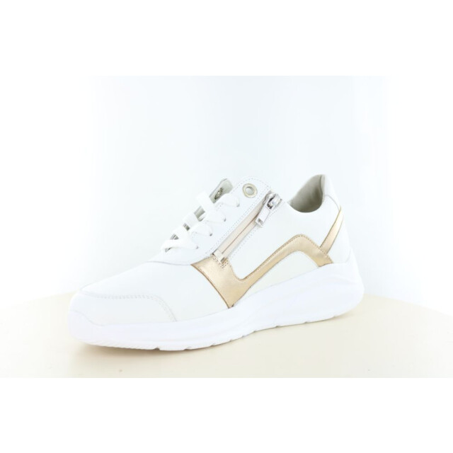 Solidus 54512 wijdte h/k 237.10.463 large