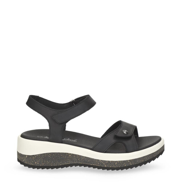 Panama Jack Alice Sandalen Zwart Alice large