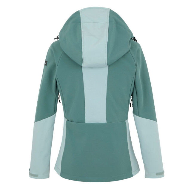 Regatta Dames desoto soft shell jas UTRG12993_sprucegreengreenhaze large