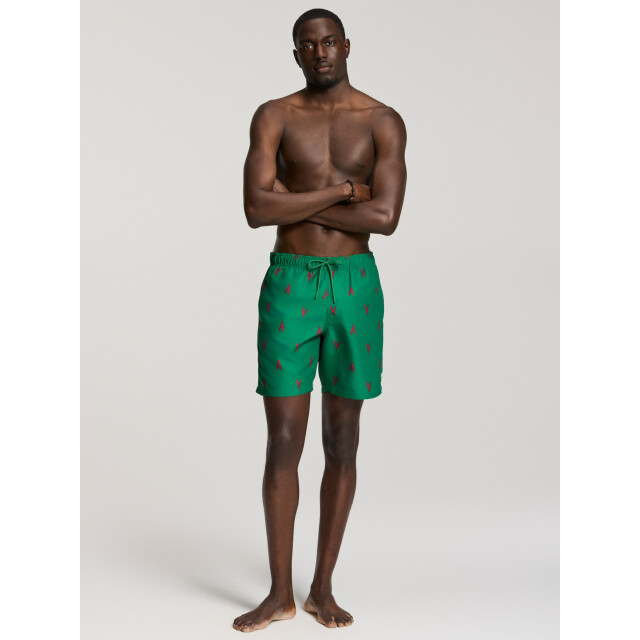 Shiwi Heren zwemshort mike 7