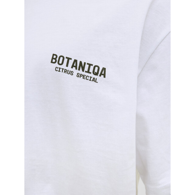 Jack & Jones Jorbotaniq tee ss crew neck tg ln 12278390 large